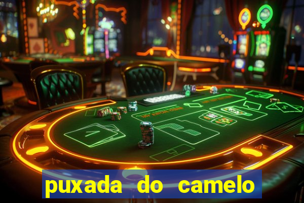 puxada do camelo no jogo do bicho